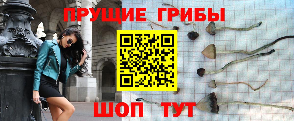 Галлюциногенные грибы GOLDEN TEACHER Алексеевка