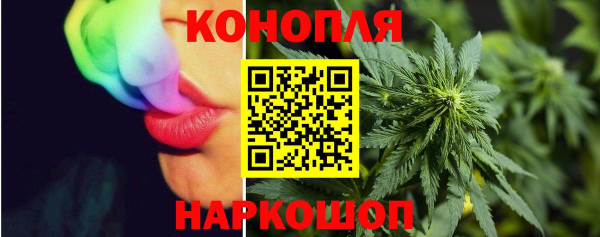 Шишки марихуана план Алексеевка